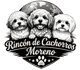 Rincón de Cachorros Moreno